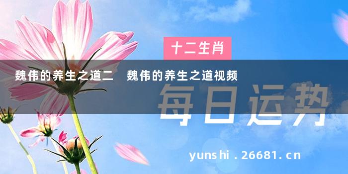 魏伟的养生之道二 魏伟的养生之道视频